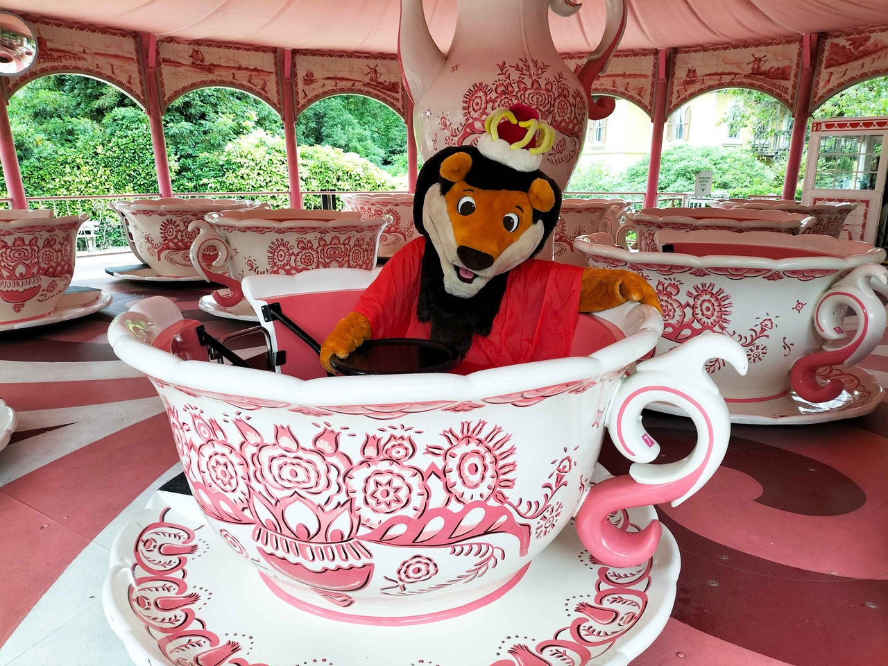 Koning Leeuw met regenjas in Koffietassen.