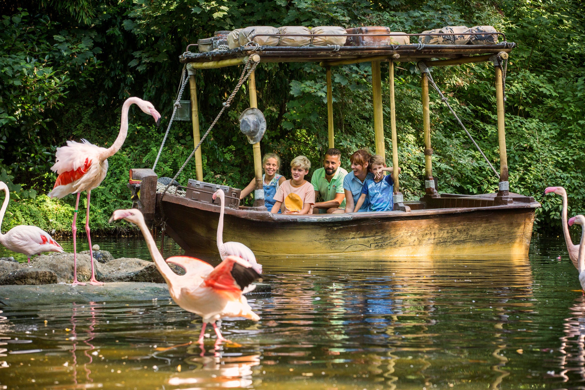 Een gezin maakt een ritje op Jungle Mission en bewondert de Europese flamingo's.
