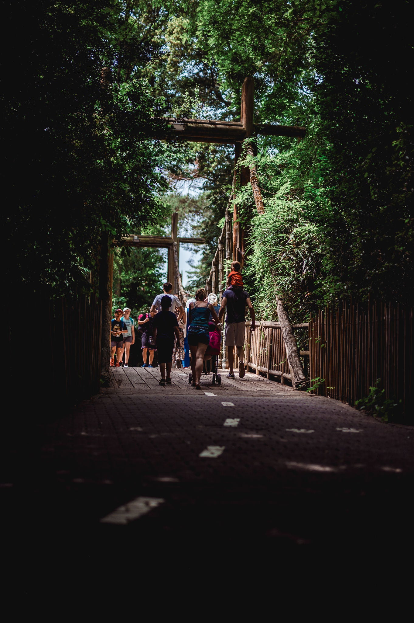 Bezoekers wandelen op een brug doorheen de Jungle.
